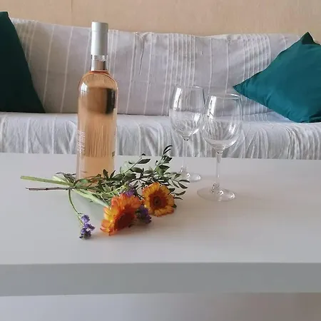 Appartement T2 45M2 Face Mer Avec Terrasse *
