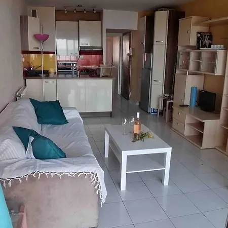 Appartement T2 45M2 Face Mer Avec Terrasse